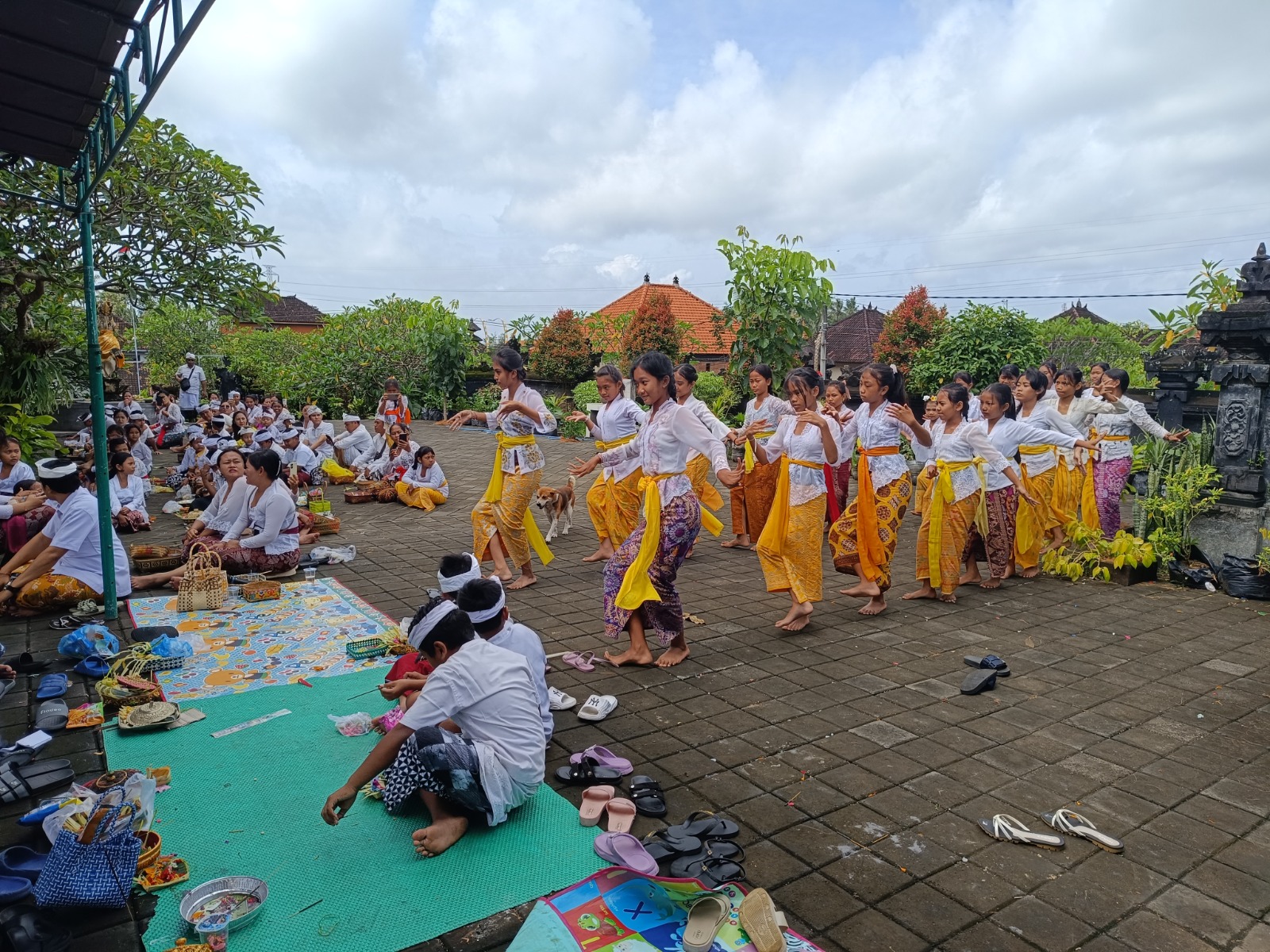 IMG-20250208-WA0059