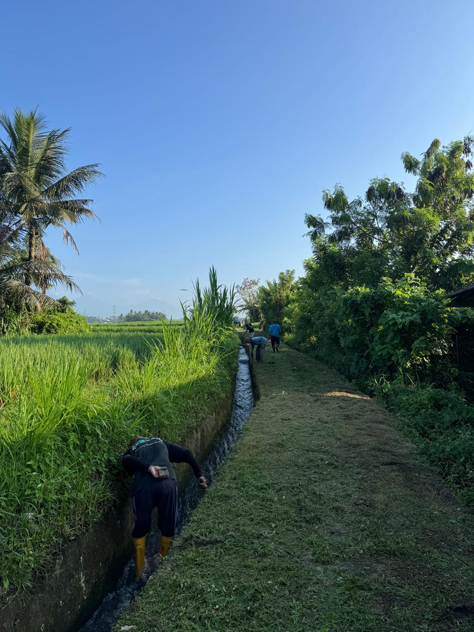WhatsApp_Image_2026-03-29_at_20-41-58_(2)