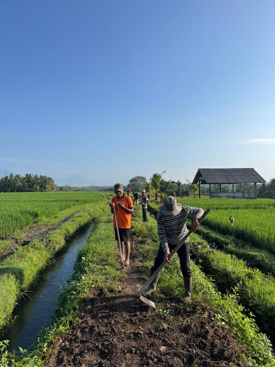 WhatsApp_Image_2026-03-29_at_20-41-59